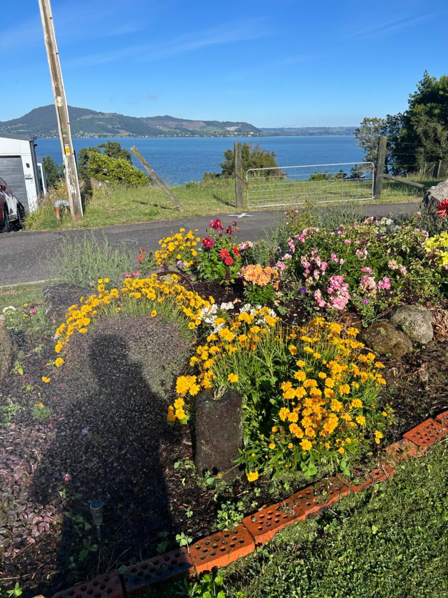 Rotorua Lakes Cottage מראה חיצוני תמונה